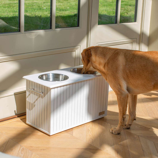 Wooden Pet Feeder in White