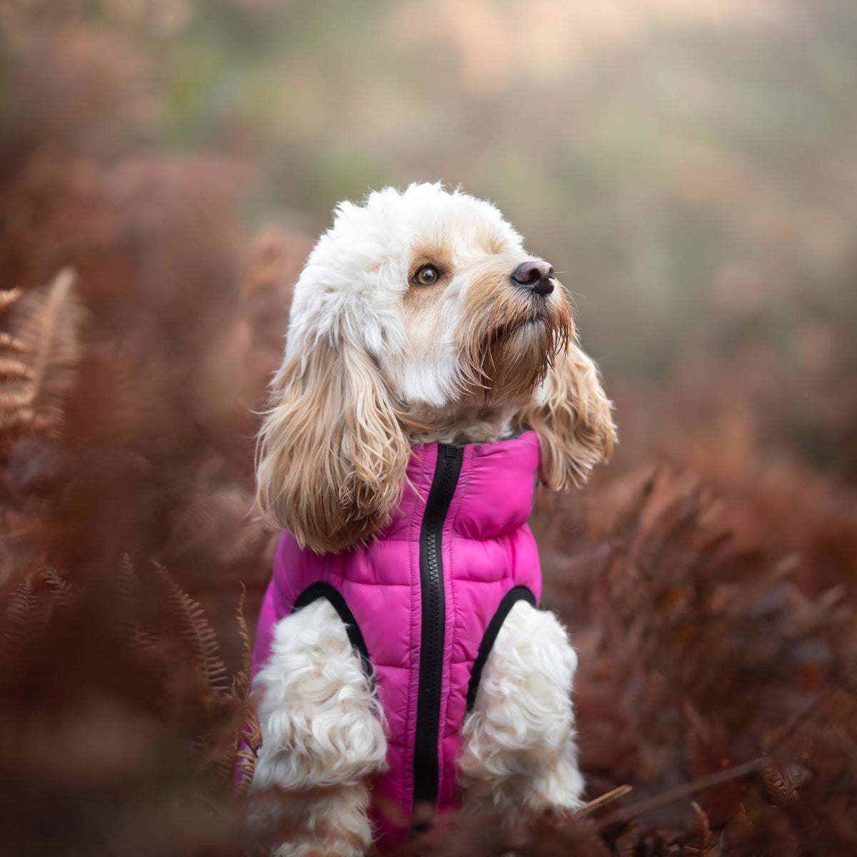 Hugo & Hudson Reversible Pink & Grey Puffer Jacket, view 3