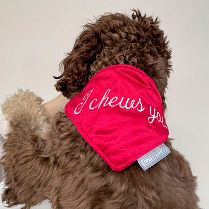 'I Chews You' Bandana in Cranberry Velvet