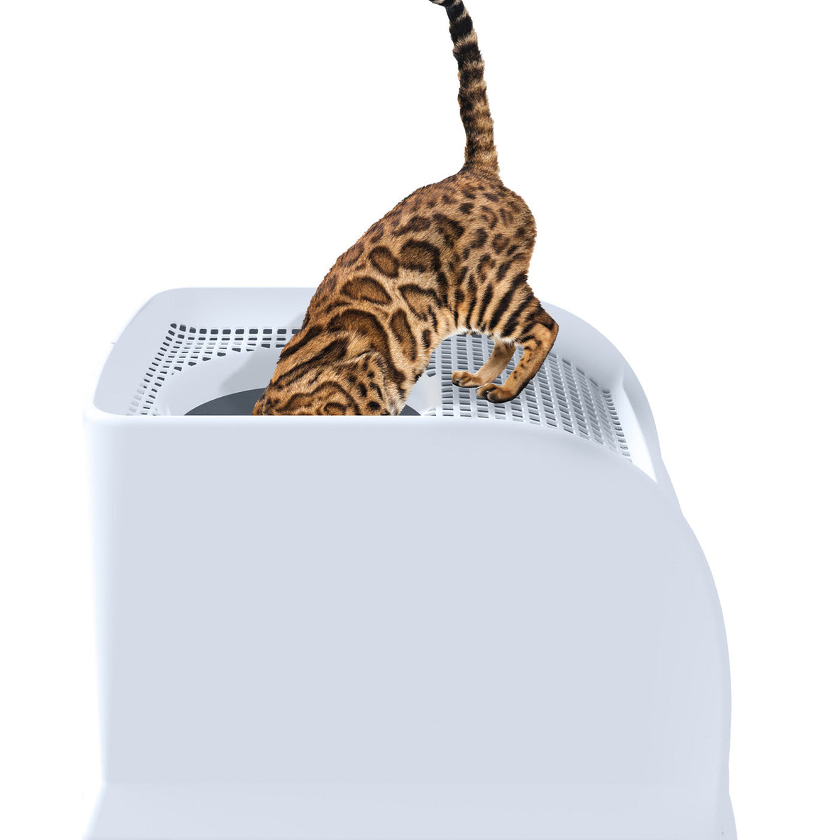 IMAC Frida Top Entry Litter Box Blue, view 2