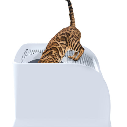IMAC Frida Top Entry Litter Box Blue, view 2