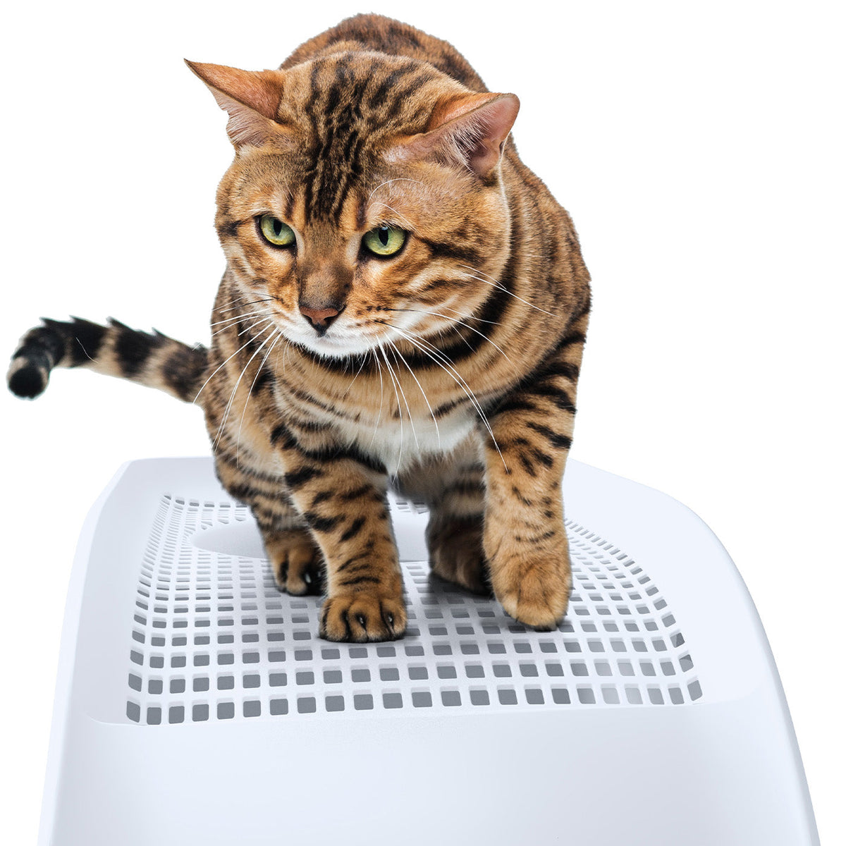 IMAC Frida Top Entry Litter Box Blue, view 3