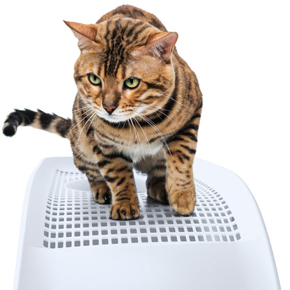 IMAC Frida Top Entry Litter Box Blue, view 3