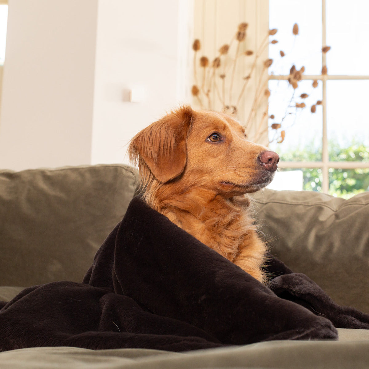 Dog & Puppy Blanket in Calming Anti-Anxiety Dusk Faux Fur, view 2