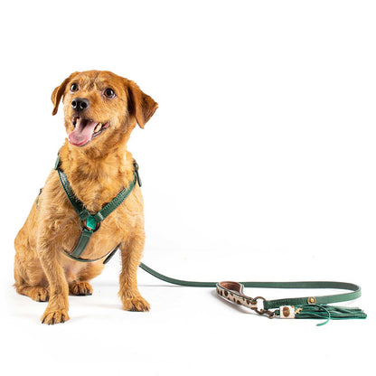Ivy Dog Harness by DWAM, view 3