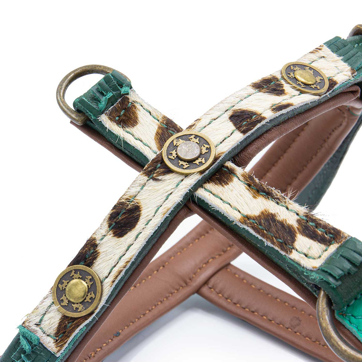 Ivy Dog Harness by DWAM, view 5