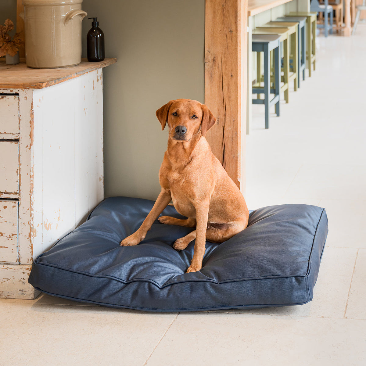 Dog Cushion With Removable Cover in Rhino Tough Pacific Faux Leather, view 3