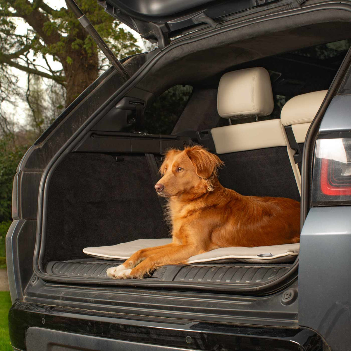 Travel Mat in Savanna Stone, view 4