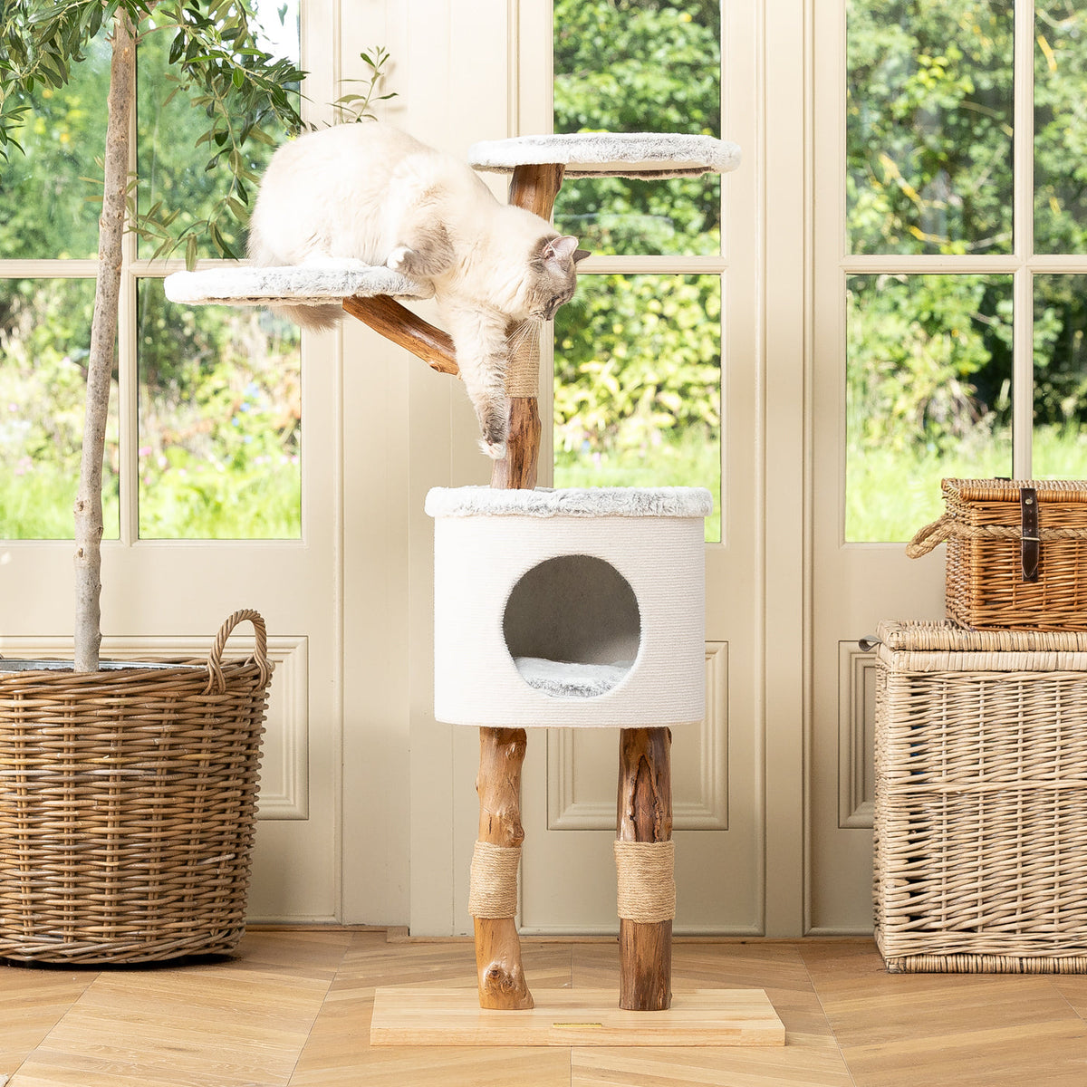 Back to Nature The High Rise Cat Scratch Tree