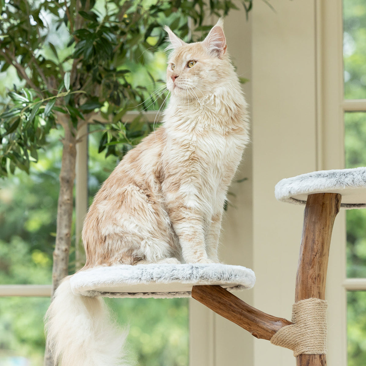 Back to Nature The High Rise Cat Scratch Tree, view 3