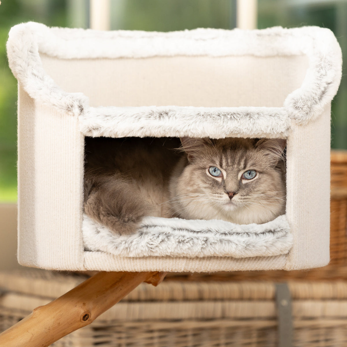 Back to Nature The Luxe Cat Scratch Tree, view 5