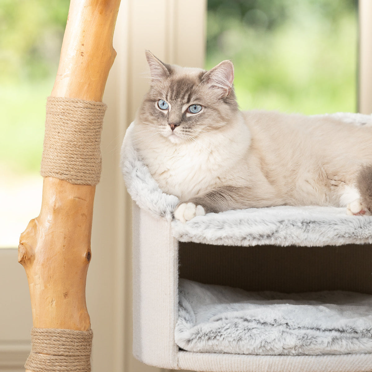 Back to Nature The Luxe Cat Scratch Tree, view 7
