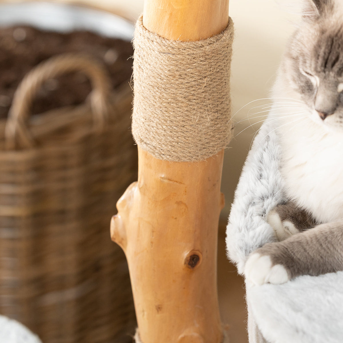 Back to Nature The Luxe Cat Scratch Tree, view 10