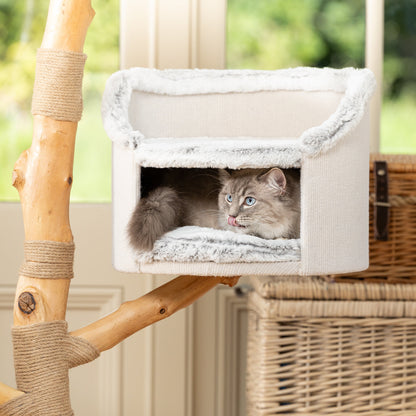 Back to Nature The Luxe Cat Scratch Tree, view 6