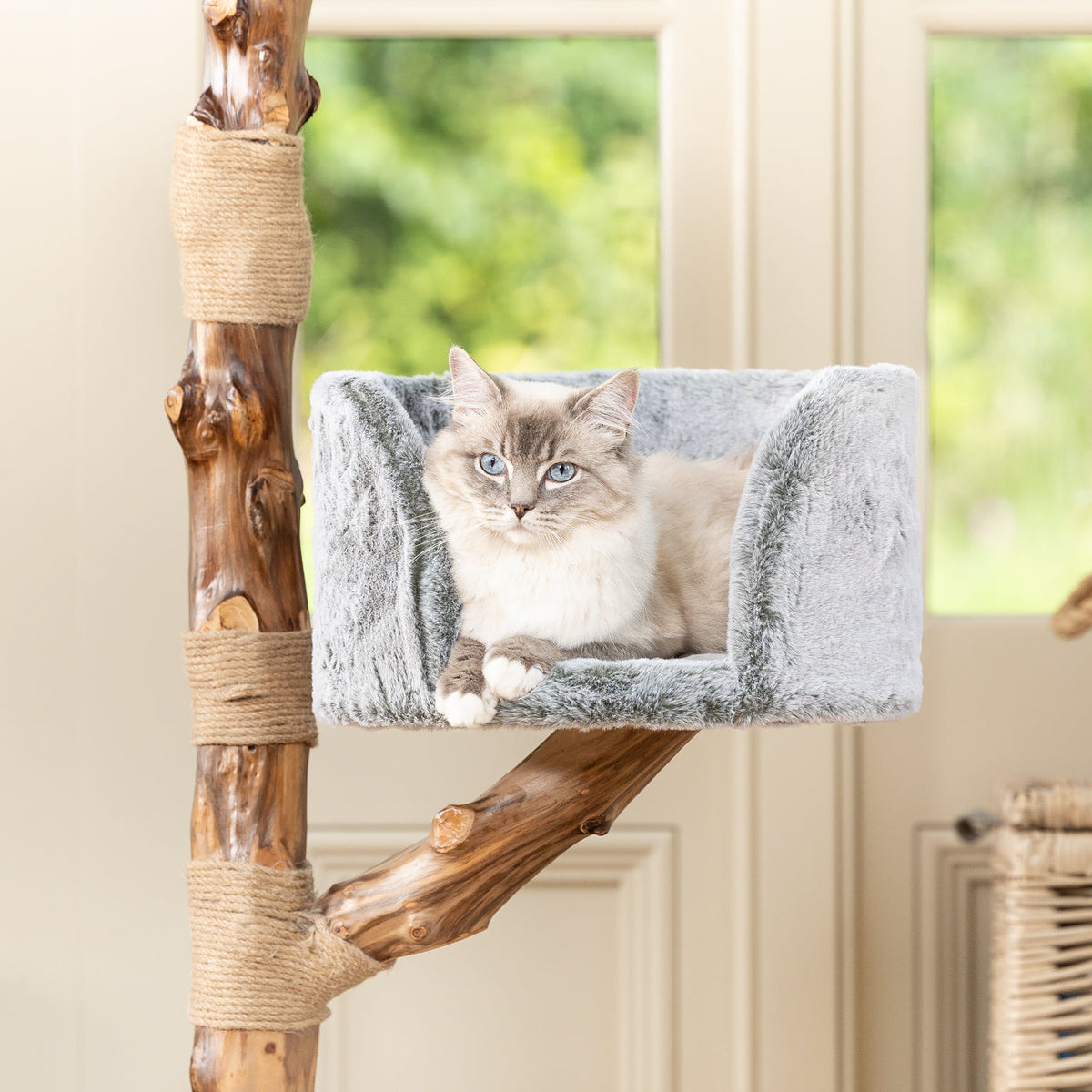 Back to Nature The Trio Cat Scratch Tree, view 6
