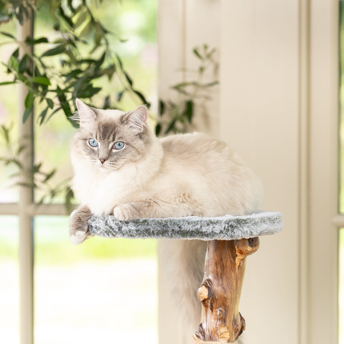Back to Nature The Trio Cat Scratch Tree, view 7
