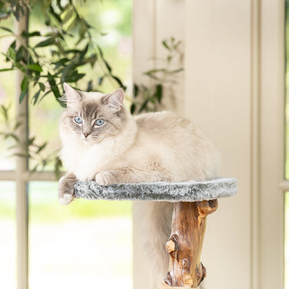 Back to Nature The Trio Cat Scratch Tree, view 7