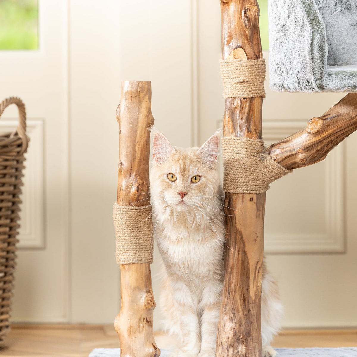 Back to Nature The Trio Cat Scratch Tree, view 5