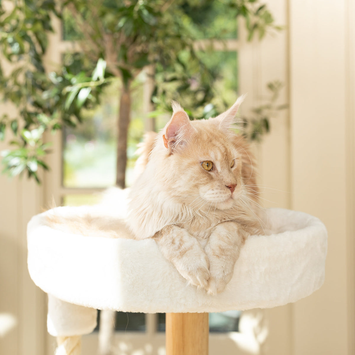 Helsinki Hide & Sleep Cat Tree, view 12