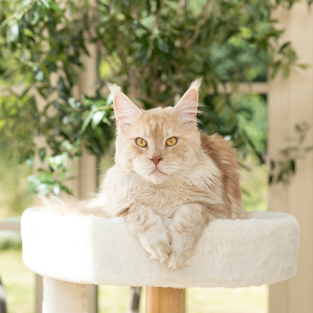 Helsinki Hide & Sleep Cat Tree, view 10