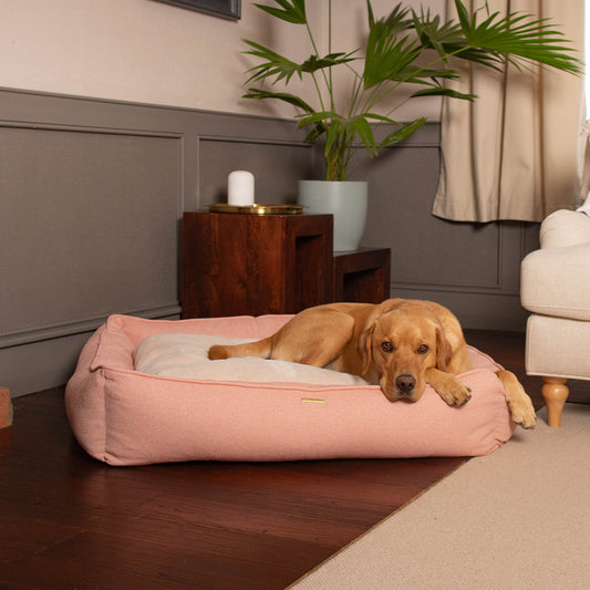 Box Bed With Removable Cover in Peony Orkney Tweed