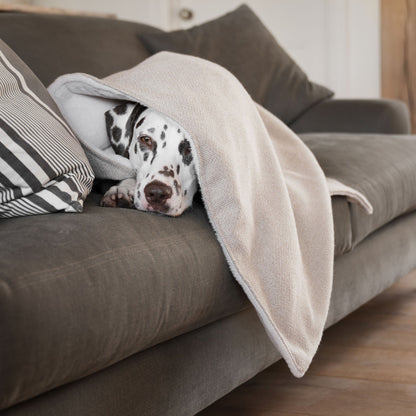 Dog & Puppy Blanket in Herringbone Tweed, view 15
