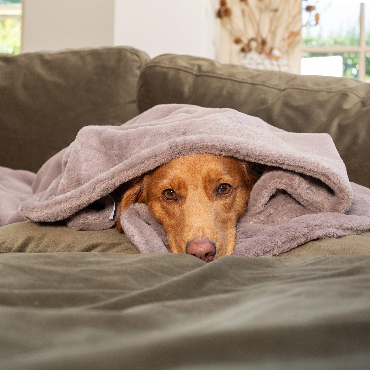 Dog & Puppy Blanket in Calming Anti-Anxiety Fawn Faux Fur, view 2