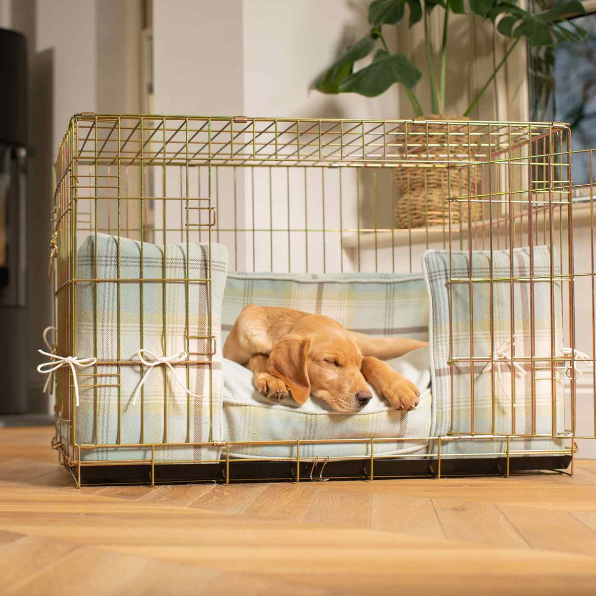 Dog Crate with Cushion & Bumper in Balmoral Duck Egg Tweed