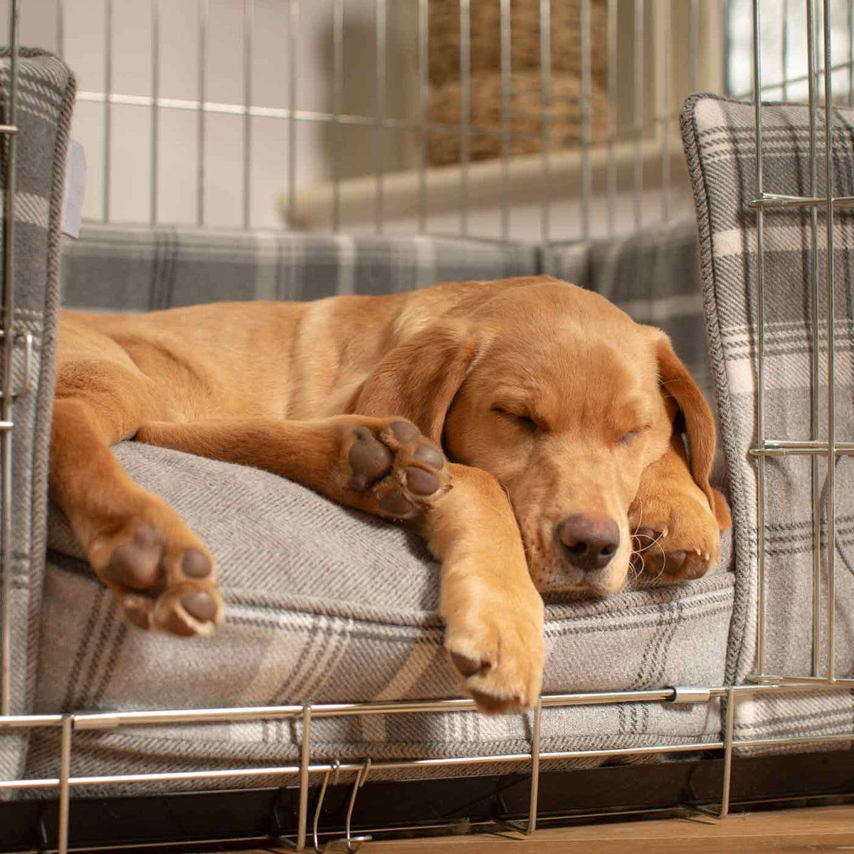 Dog Crate Bumper in Balmoral Dove Grey Tweed, view 2