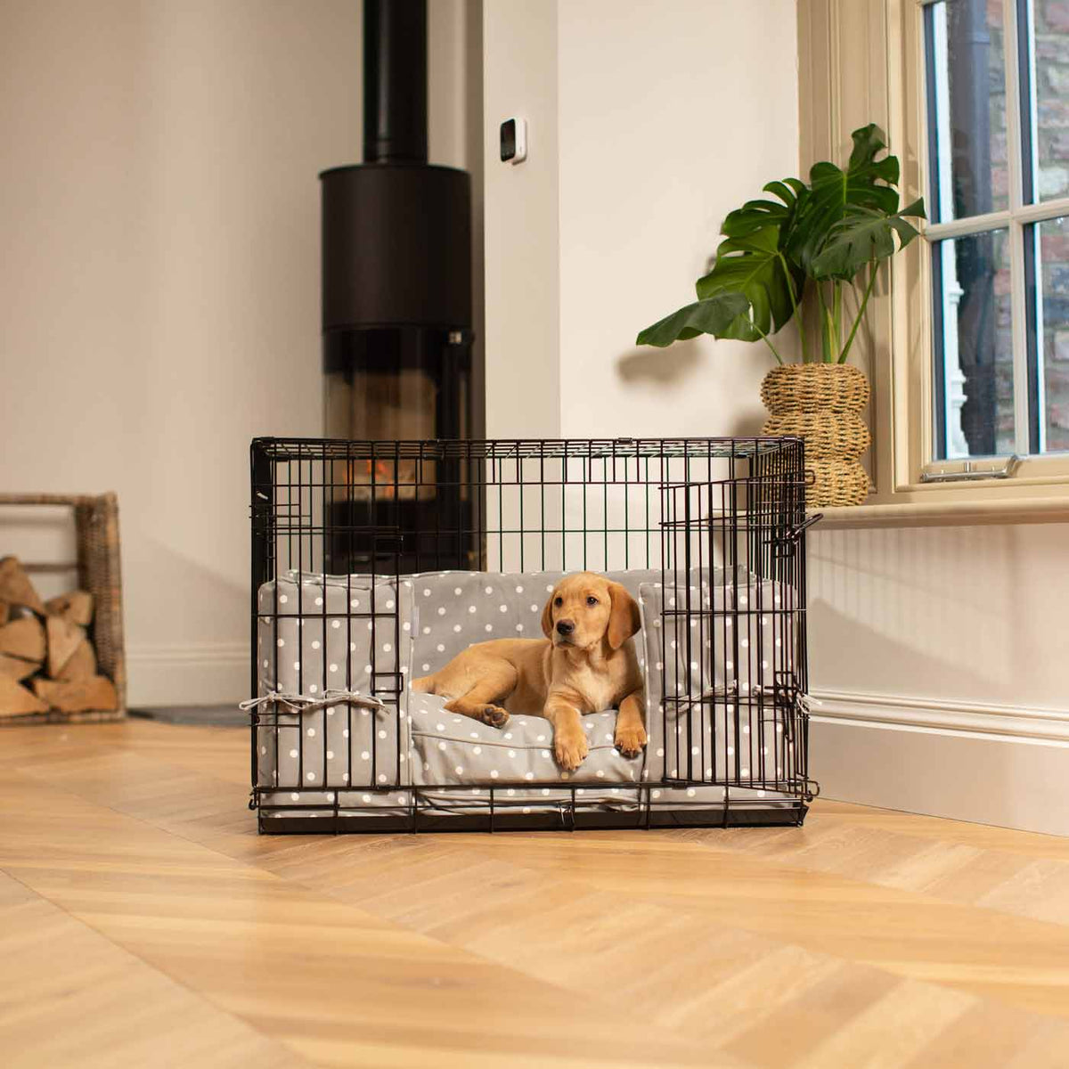 Dog Crate with Cushion & Bumper in Grey Spot, view 3