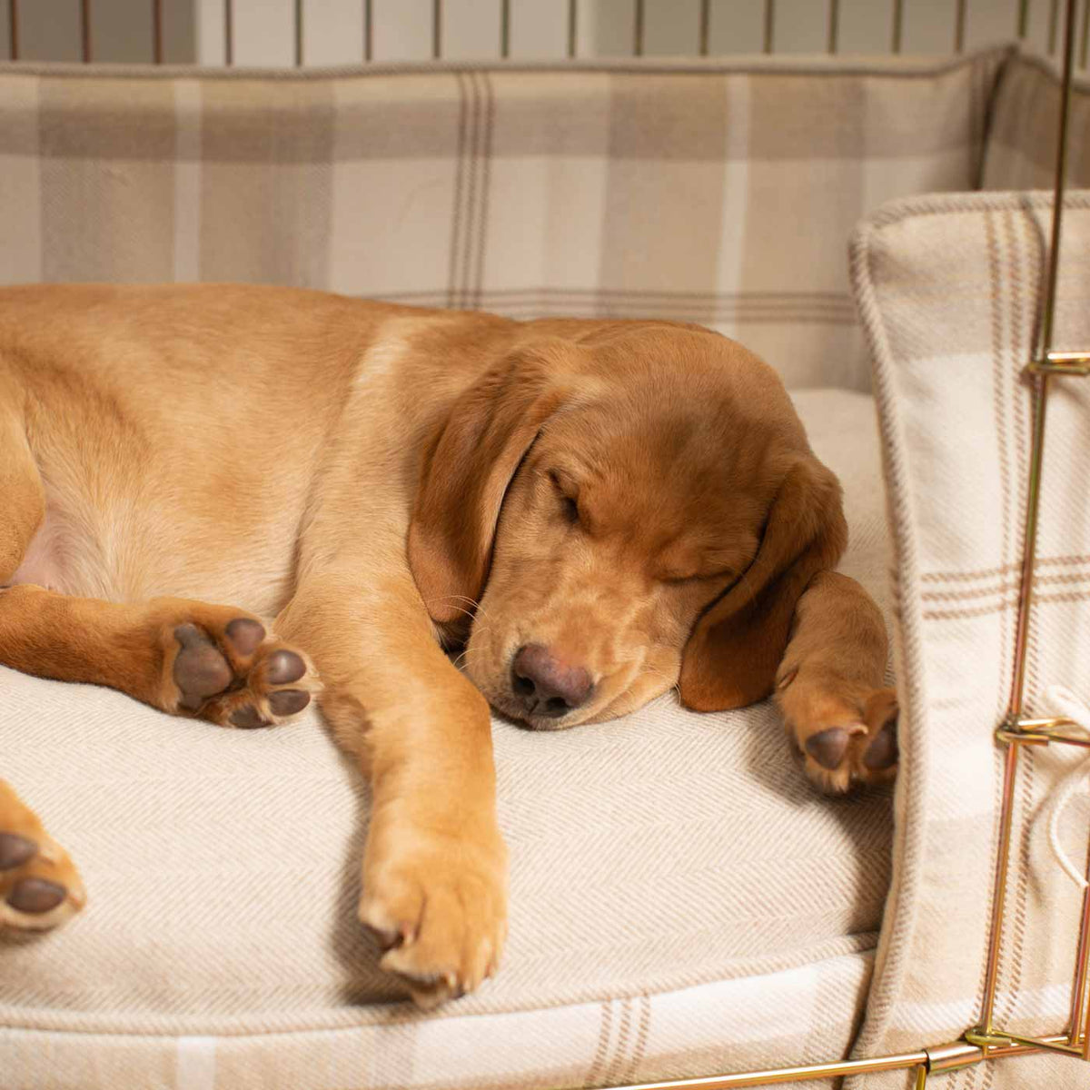 Dog Crate Bumper in Balmoral Natural Tweed, view 8