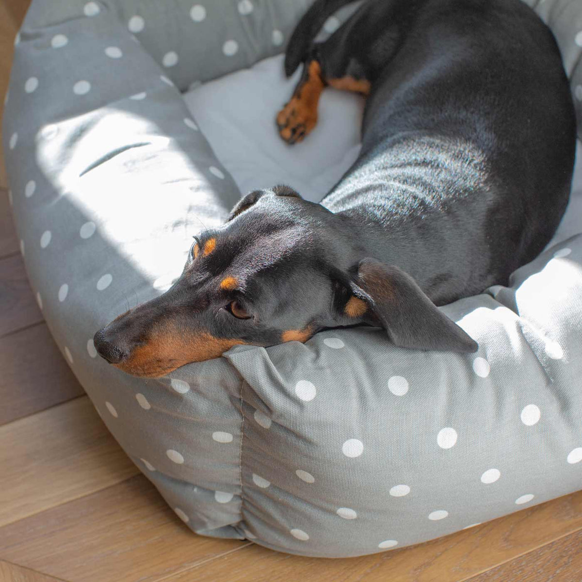 Box Bed With Removable Covers in Grey Spot, view 6