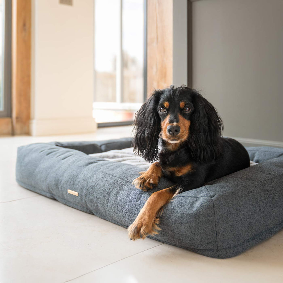 Comfort Cube Dog Bed in Anthracite