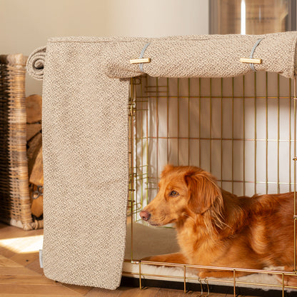 Dog Crate with Crate Cover in Essentials Herdwick Pebble, view 4
