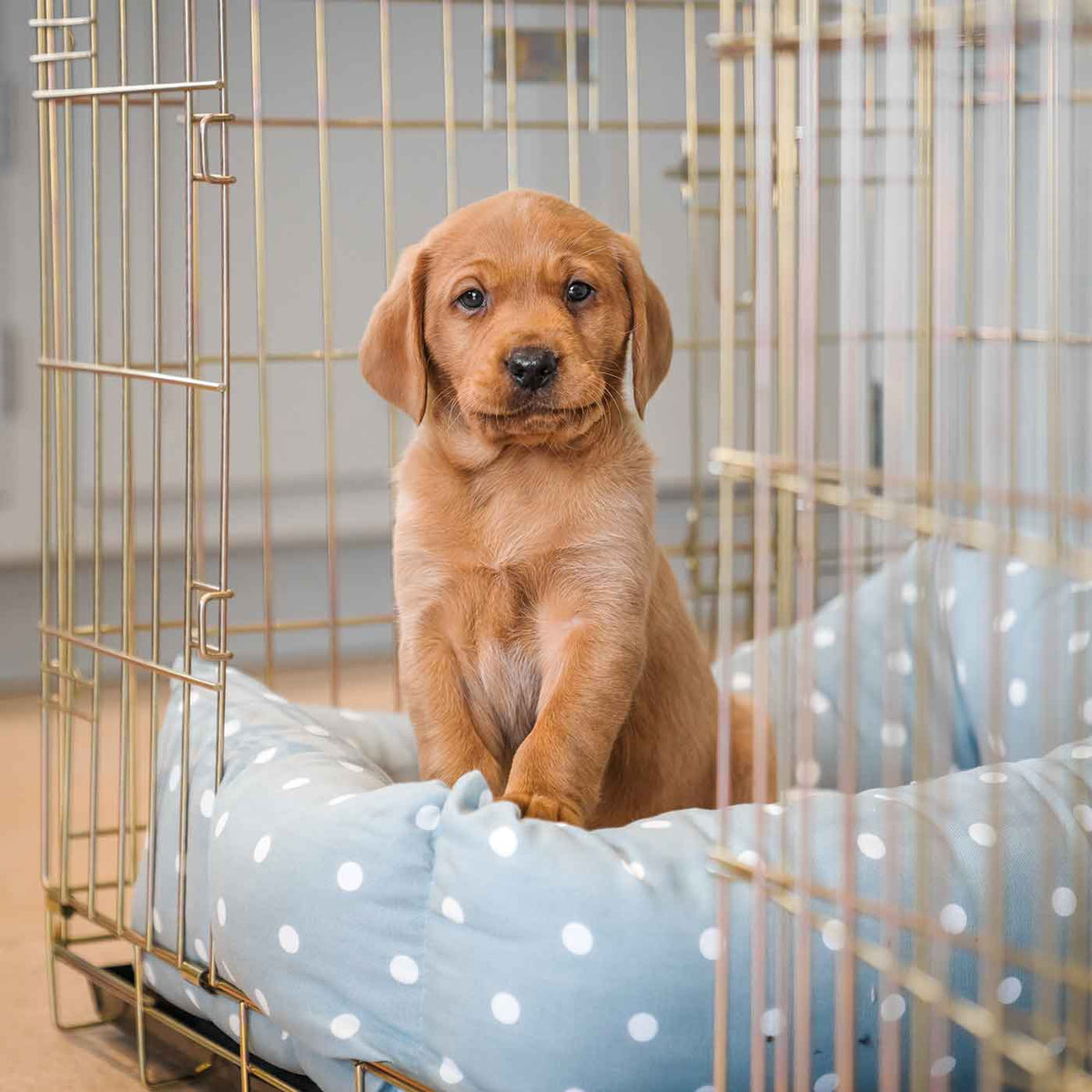 Cosy & Calming Puppy Crate Bed With Removable Covers in Duck Egg Spot, view 3