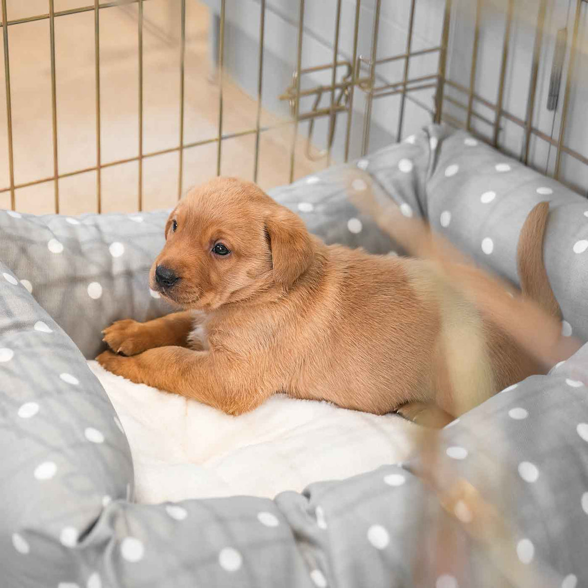 Cosy & Calming Puppy Crate Bed With Removable Covers in Grey Spot, view 3