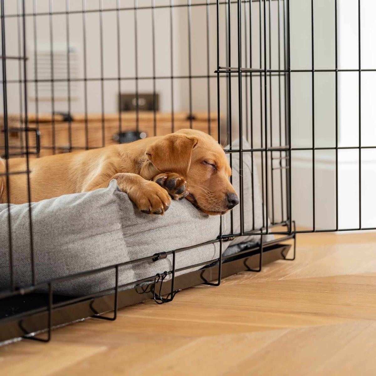 Cosy & Calming Puppy Crate Bed With Removable Covers In Inchmurrin Ground, view 3