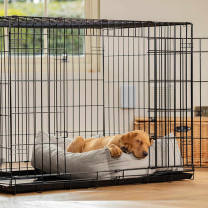 Dog Crate with Cosy & Calming Puppy Crate Bed in Inchmurrin Ground