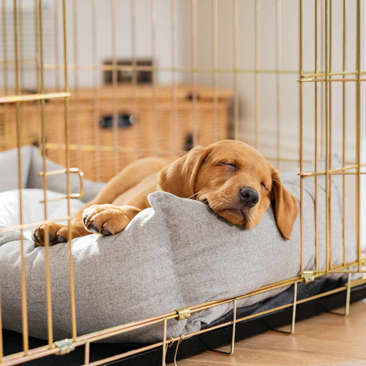 Cosy & Calming Puppy Crate Bed With Removable Covers In Inchmurrin Ground, view 9