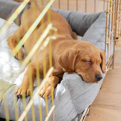 Cosy & Calming Puppy Crate Bed With Removable Covers In Inchmurrin Ground, view 8