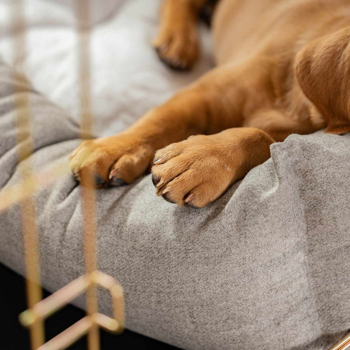 Cosy & Calming Puppy Crate Bed With Removable Covers In Inchmurrin Ground, view 7