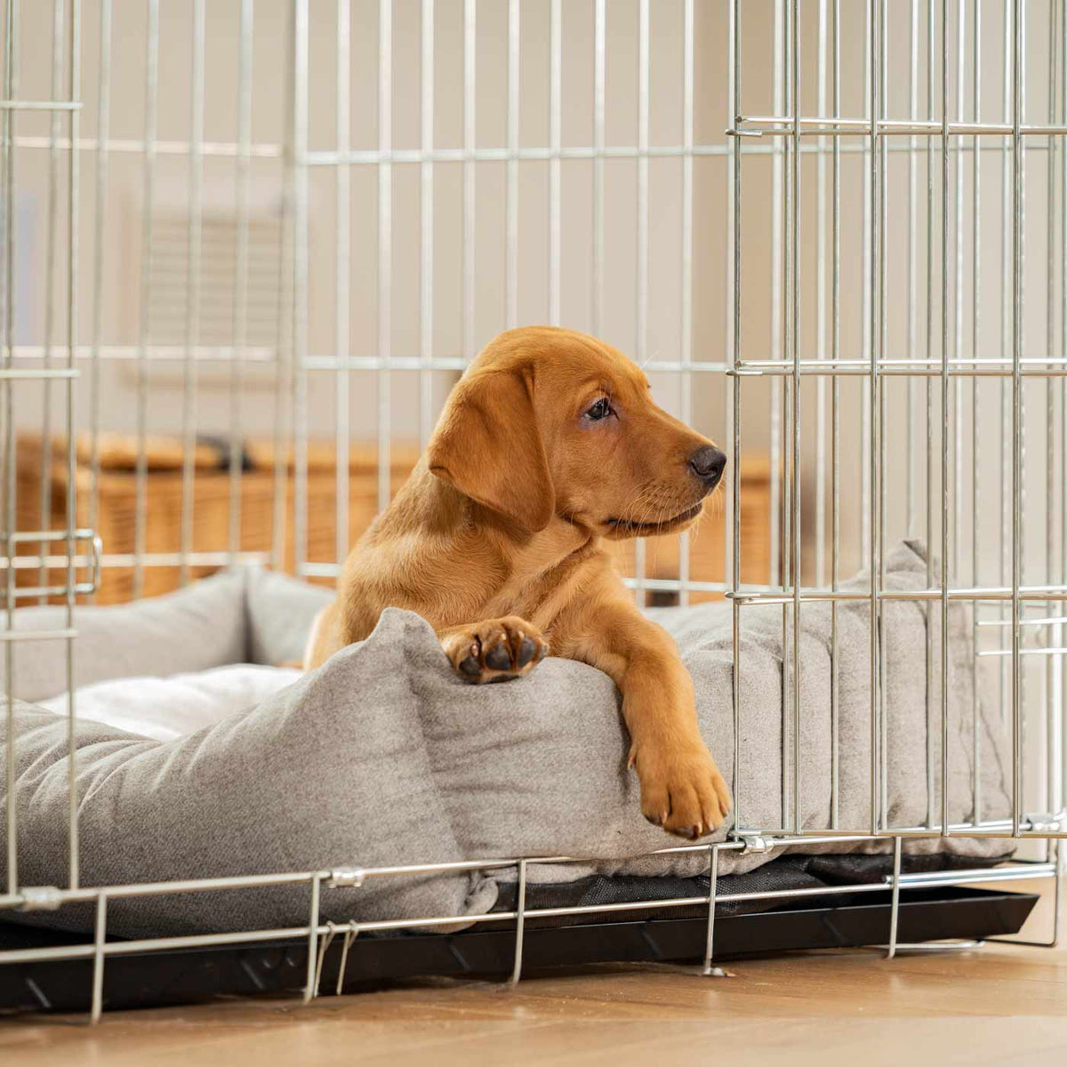 Cosy & Calming Puppy Crate Bed With Removable Covers In Inchmurrin Ground, view 6
