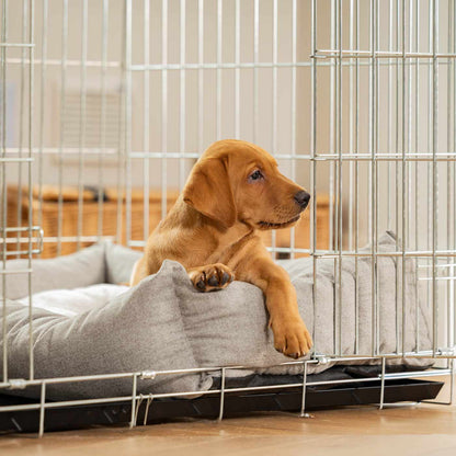Cosy & Calming Puppy Crate Bed With Removable Covers In Inchmurrin Ground, view 6