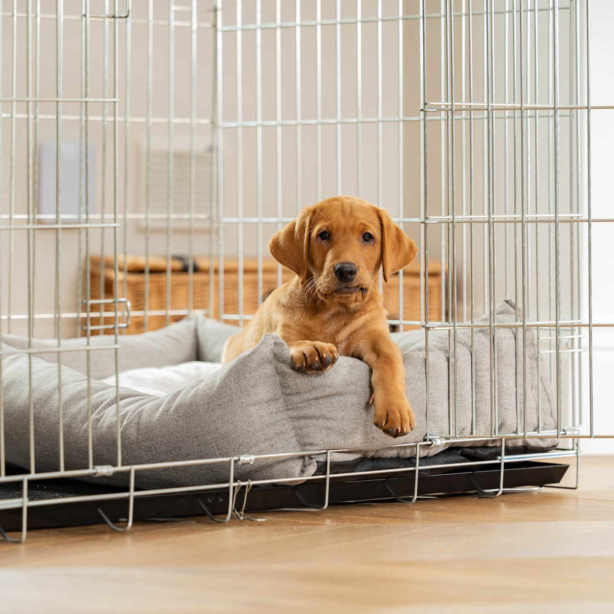 Dog Crate with Cosy & Calming Puppy Crate Bed in Inchmurrin Ground, view 6