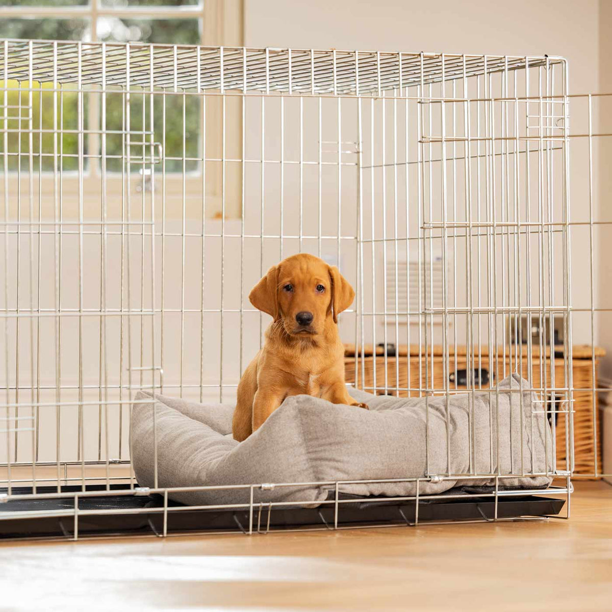 Dog Crate with Cosy & Calming Puppy Crate Bed in Inchmurrin Ground, view 5