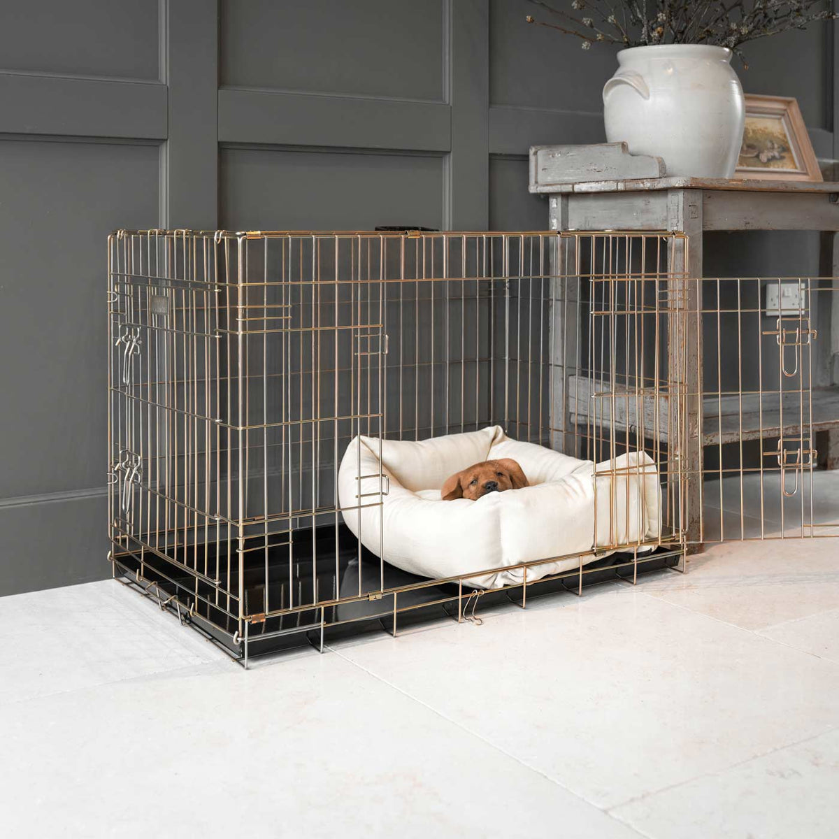 Dog Crate with Cosy & Calming Puppy Crate Bed in Savanna Bone