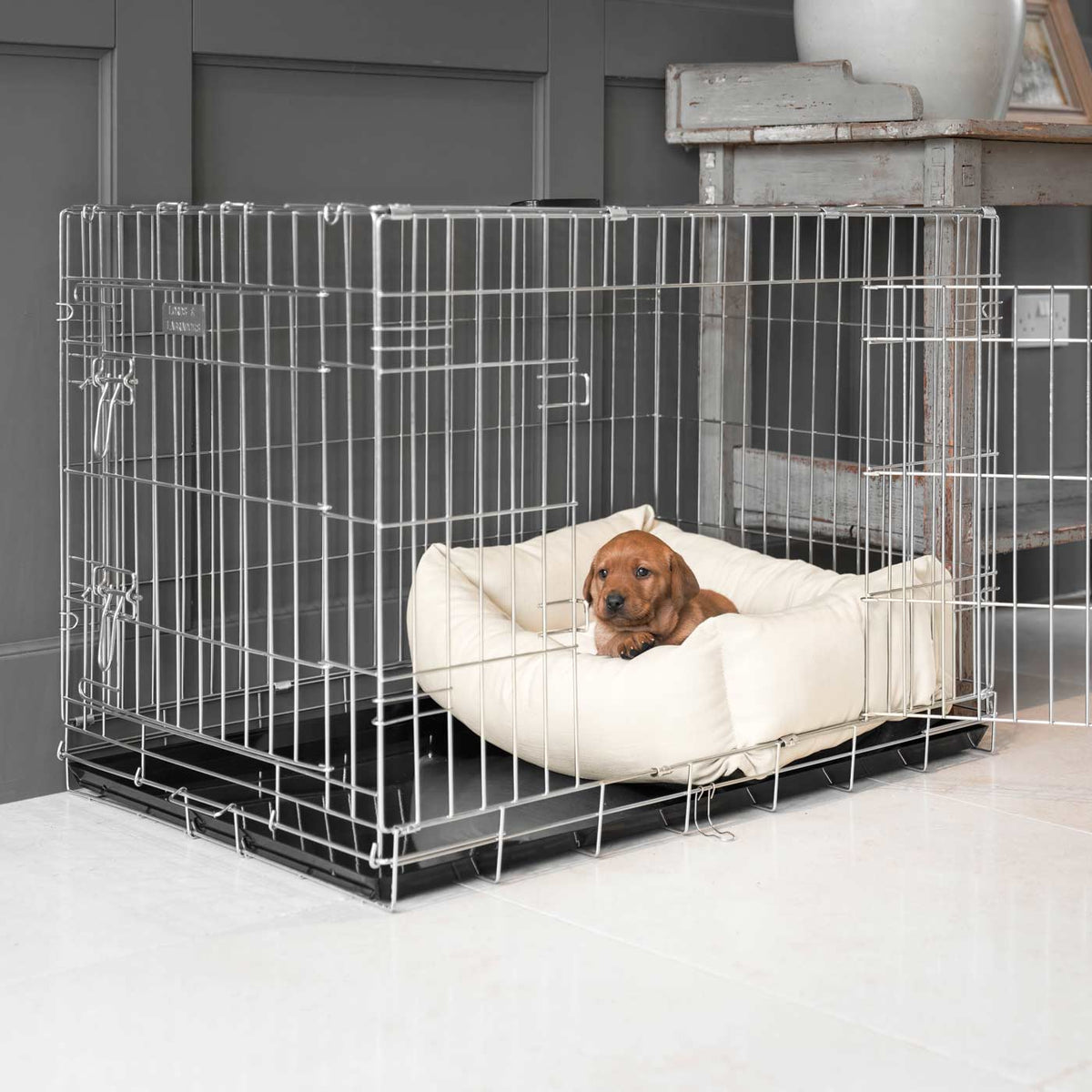 Dog Crate with Cosy & Calming Puppy Crate Bed in Savanna Bone, view 3