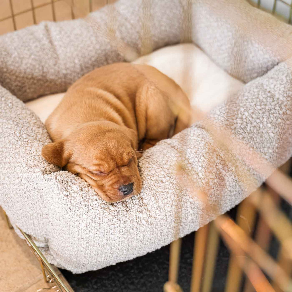 Cosy & Calming Puppy Crate Bed With Removable Covers in Mink Bouclé, view 3