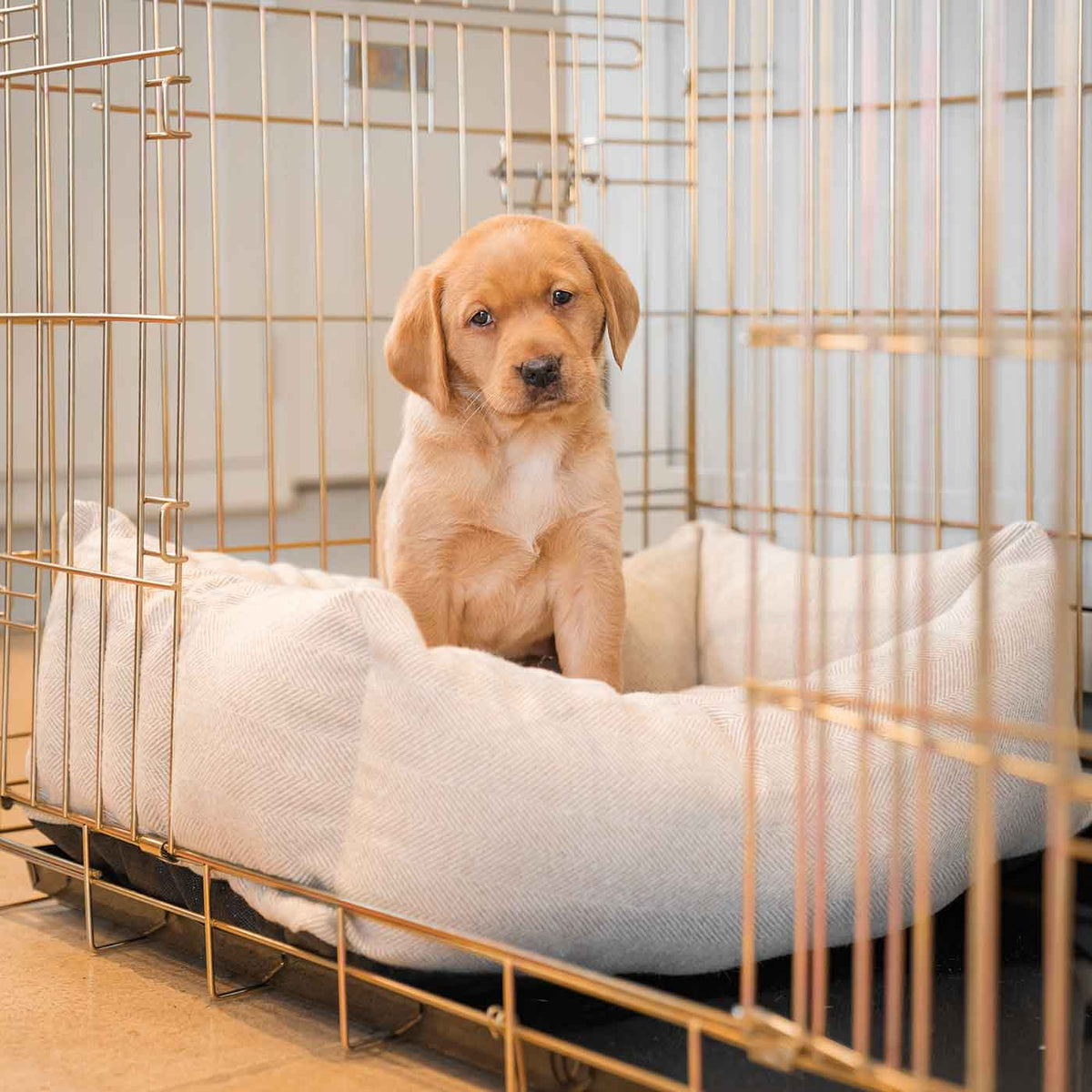 Cosy & Calming Puppy Crate Bed With Removable Covers in Natural Herringbone Tweed, view 3
