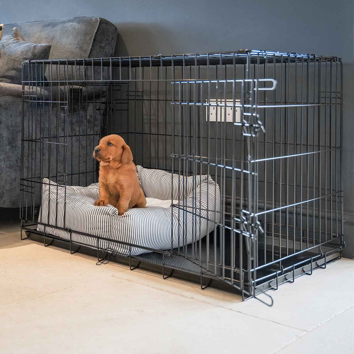 Cosy & Calming Puppy Crate Bed With Removable Covers in Regency Stripe, view 4